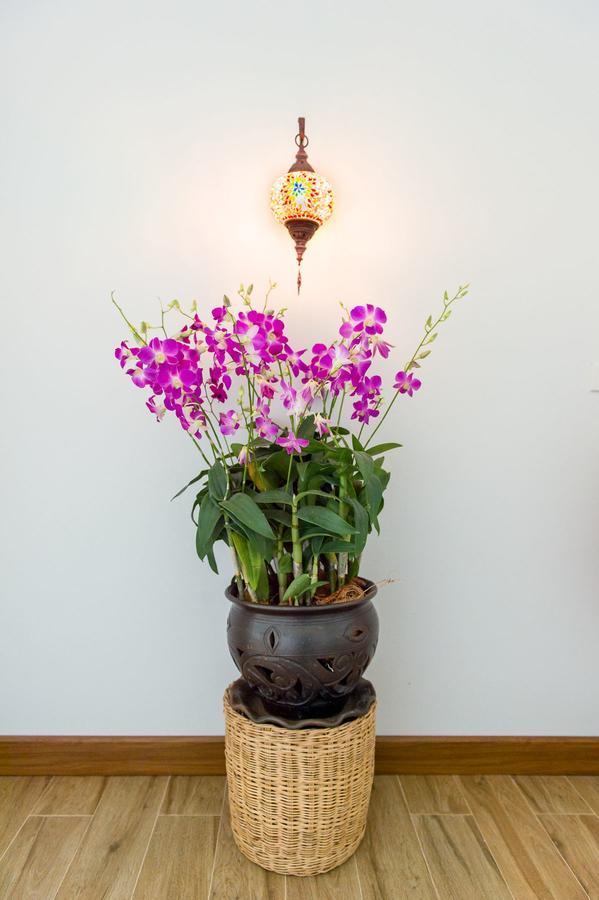 Villa Thai Orchid (Adults Only) Τσιάνγκ Μάι Εξωτερικό φωτογραφία